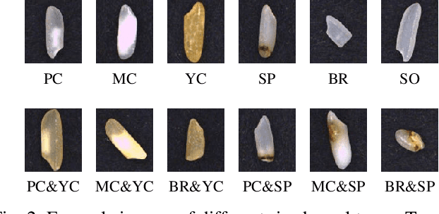 Figure 3 for Vision-Based Defect Classification and Weight Estimation of Rice Kernels