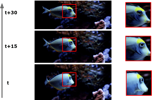 Figure 1 for Sideways: Depth-Parallel Training of Video Models
