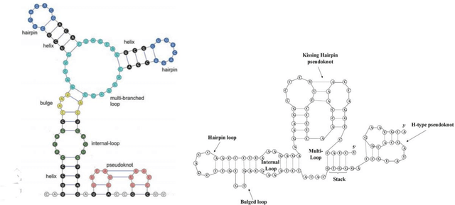 Figure 1 for Predicting 3D RNA Folding Patterns via Quadratic Binary Optimization