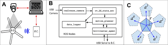 Figure 3 for An Untethered Brittle Star Robot for Closed-Loop Underwater Locomotion