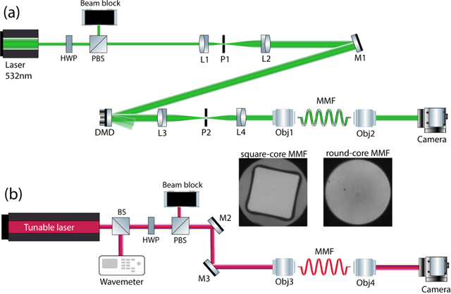 Figure 1 for Comparison of round- and square-core fibers for sensing, imaging and spectroscopy