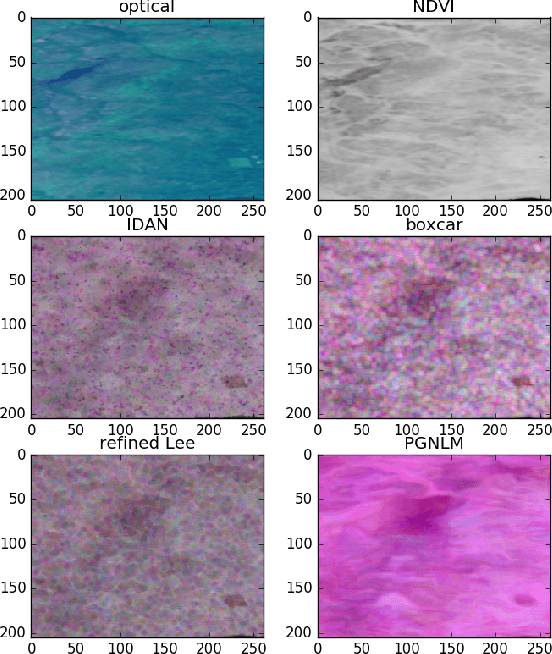 Figure 2 for Polarimetric Guided Nonlocal Means Covariance Matrix Estimation for Defoliation Mapping