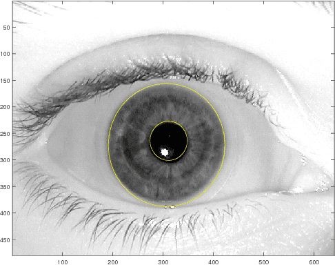 Figure 1 for Seeded Ising Model and Statistical Natures of Human Iris Templates