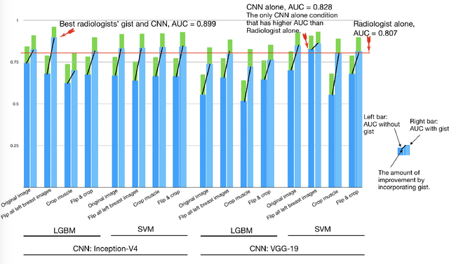 Figure 3 for Human Gist Processing Augments Deep Learning Breast Cancer Risk Assessment