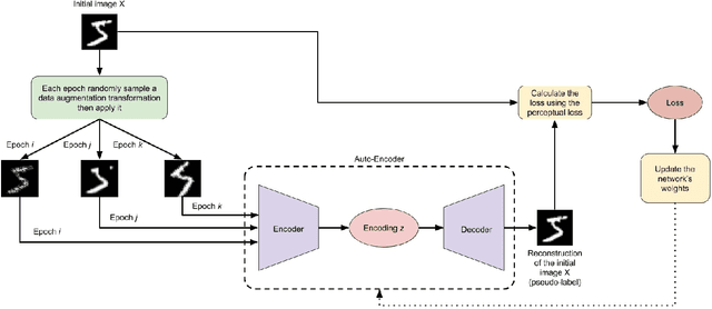 Figure 1 for Improving Auto-Encoders' self-supervised image classification using pseudo-labelling via data augmentation and the perceptual loss