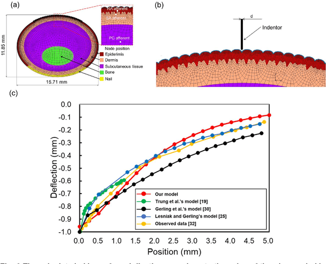 Figure 3 for Computational Models for SA, RA, PC Afferent to Reproduce Neural Responses to Dynamic Stimulus Using FEM Analysis and a Leaky Integrate-and-Fire Model