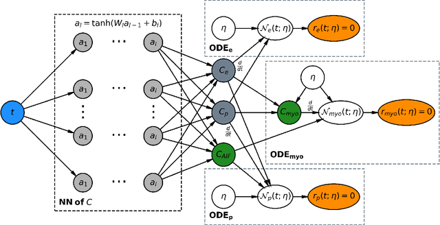 Figure 1 for Physics-informed neural networks for myocardial perfusion MRI quantification
