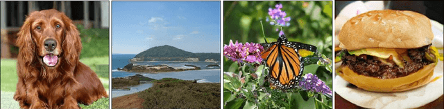 Figure 1 for Large Scale GAN Training for High Fidelity Natural Image Synthesis