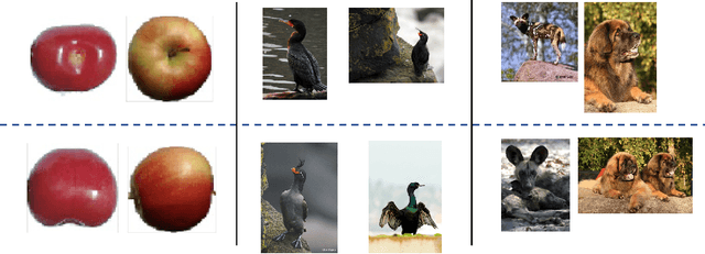 Figure 2 for Fuzzy Simplicial Networks: A Topology-Inspired Model to Improve Task Generalization in Few-shot Learning