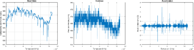 Figure 1 for A review of univariate and multivariate multifractal analysis illustrated by the analysis of marathon runners physiological data