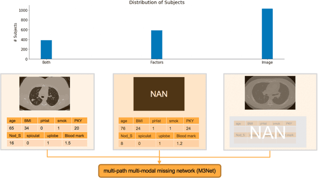 Figure 1 for Deep Multi-path Network Integrating Incomplete Biomarker and Chest CT Data for Evaluating Lung Cancer Risk