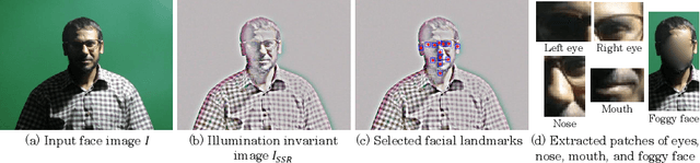 Figure 3 for AFIF4: Deep Gender Classification based on AdaBoost-based Fusion of Isolated Facial Features and Foggy Faces
