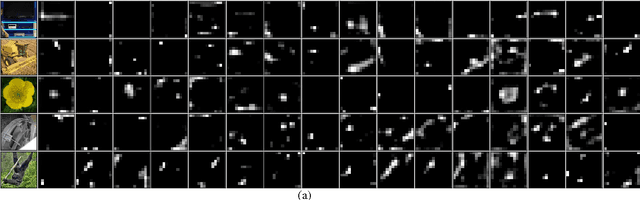 Figure 4 for Multi-path Convolutional Neural Networks for Complex Image Classification