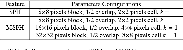 Figure 2 for Shape Primitive Histogram: A Novel Low-Level Face Representation for Face Recognition