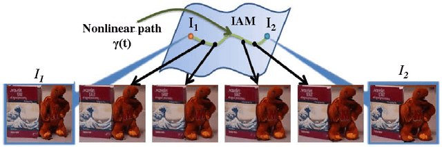 Figure 3 for A Theory for Optical flow-based Transport on Image Manifolds