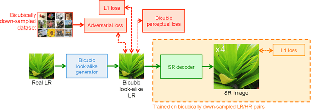 Figure 4 for Benefitting from Bicubically Down-Sampled Images for Learning Real-World Image Super-Resolution