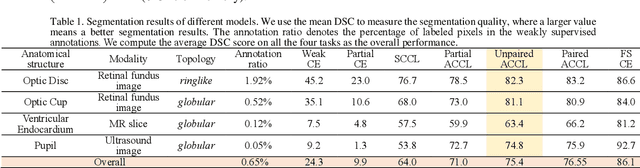 Figure 2 for ACCL: Adversarial constrained-CNN loss for weakly supervised medical image segmentation
