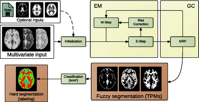 Figure 1 for MBIS: Multivariate Bayesian Image Segmentation Tool