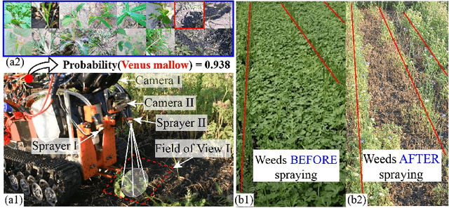 Figure 1 for Deep-CNN based Robotic Multi-Class Under-Canopy Weed Control in Precision Farming