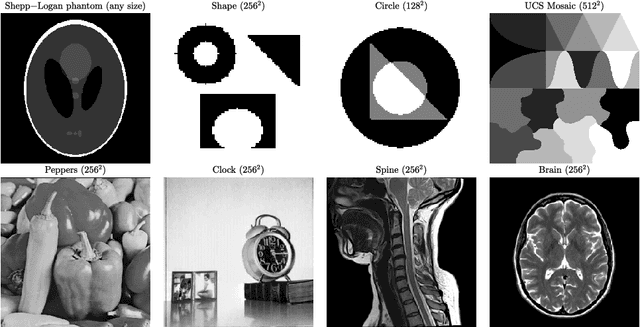 Figure 3 for Enhanced total variation minimization for stable image reconstruction