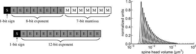 Figure 4 for Learning compositional functions via multiplicative weight updates