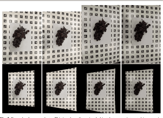 Figure 2 for Using cameras for precise measurement of two-dimensional plant features