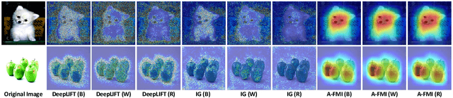 Figure 4 for A-FMI: Learning Attributions from Deep Networks via Feature Map Importance
