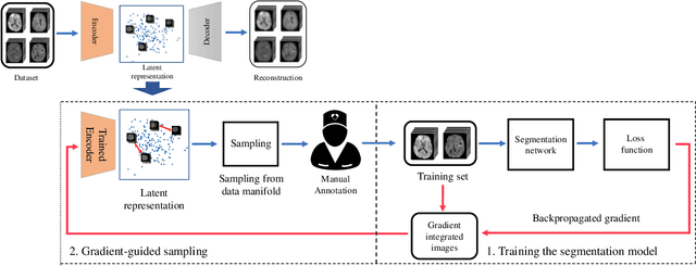 Figure 3 for Suggestive Annotation of Brain MR Images with Gradient-guided Sampling