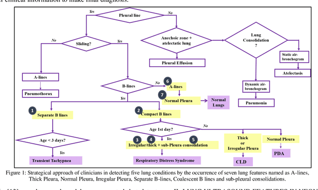 Figure 1 for An interpretable object detection based model for the diagnosis of neonatal lung diseases using Ultrasound images