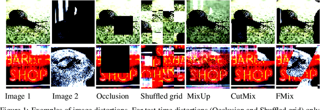 Figure 1 for On the Effects of Data Distortion on Model Analysis and Training