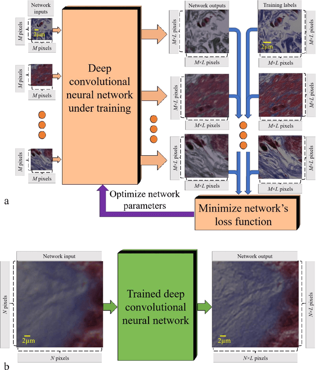 Figure 1 for Deep Learning Microscopy