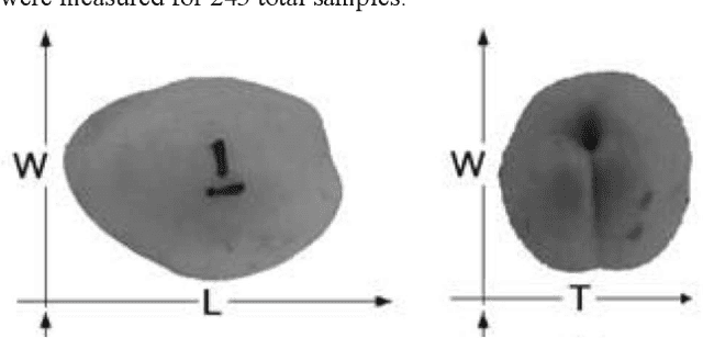 Figure 1 for Apricot variety classification using image processing and machine learning approaches