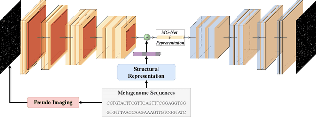 Figure 1 for MG-NET: Leveraging Pseudo-Imaging for Multi-Modal Metagenome Analysis