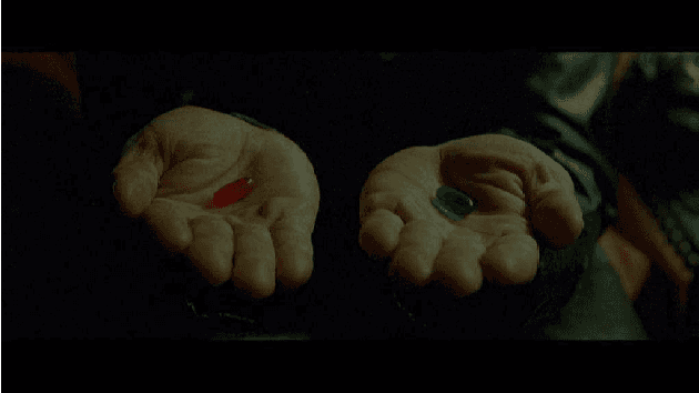 Figure 1 for Cyborg Systems as Platforms for Computer-Vision Algorithm-Development for Astrobiology