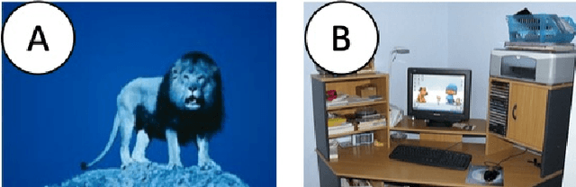 Figure 1 for Reflecting After Learning for Understanding