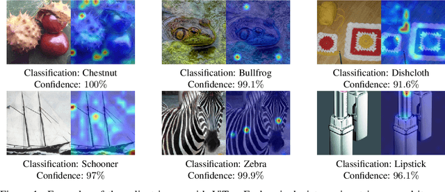 Figure 1 for Optimizing Relevance Maps of Vision Transformers Improves Robustness