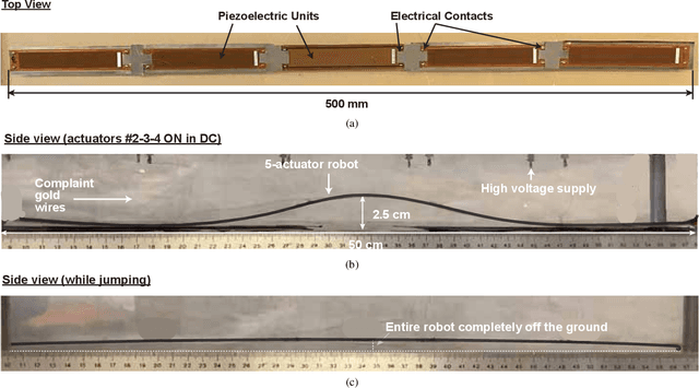 Figure 3 for Scalable Simulation and Demonstration of Jumping Piezoelectric 2-D Soft Robots