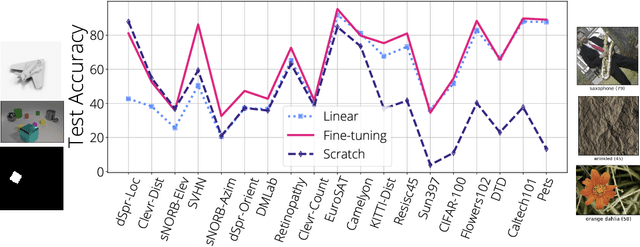 Figure 3 for Head2Toe: Utilizing Intermediate Representations for Better Transfer Learning