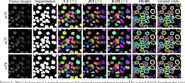 Figure 1 for Globally Optimal Cell Tracking using Integer Programming