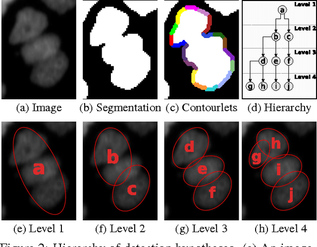 Figure 3 for Globally Optimal Cell Tracking using Integer Programming