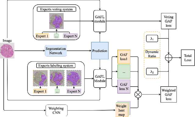 Figure 1 for Pathological Image Segmentation with Noisy Labels