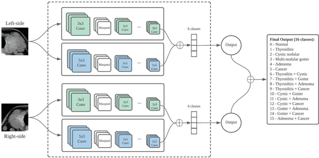 Figure 3 for Multi-channel deep convolutional neural networks for multi-classifying thyroid disease