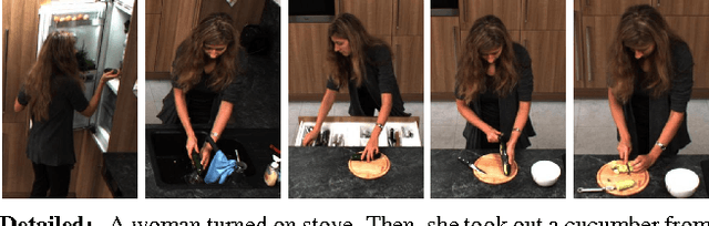 Figure 1 for Coherent Multi-Sentence Video Description with Variable Level of Detail