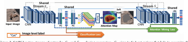 Figure 3 for Tell Me Where to Look: Guided Attention Inference Network