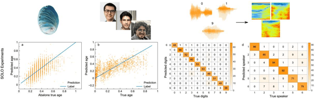 Figure 3 for Scalable Optical Learning Operator