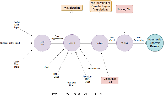 Figure 2 for Enforcing temporal consistency in Deep Learning segmentation of brain MR images