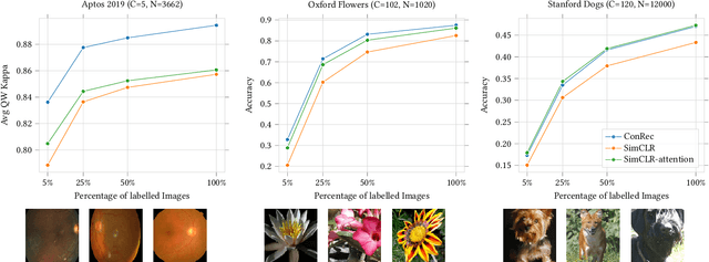 Figure 3 for Towards Fine-grained Visual Representations by Combining Contrastive Learning with Image Reconstruction and Attention-weighted Pooling