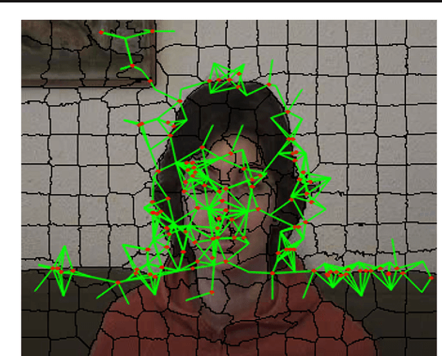 Figure 1 for SPiKeS: Superpixel-Keypoints Structure for Robust Visual Tracking