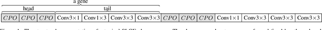 Figure 1 for Evolutionary NAS with Gene Expression Programming of Cellular Encoding