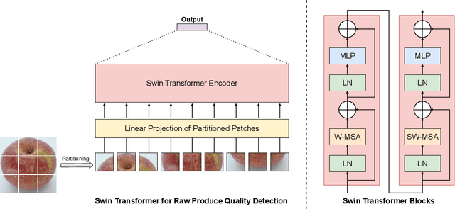 Figure 1 for Raw Produce Quality Detection with Shifted Window Self-Attention